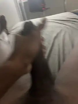 Snapshot of arrete2025 chatting on 3, 2, 2025 arrete2025 online show from 3, 2, 2025