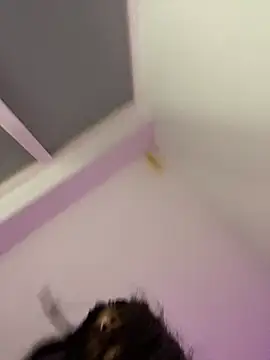 bonnie 18x online show from 26, 2, 2025