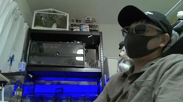 Owl1216 online show from 4, 12, 2024