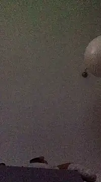 babylonia4sex online show from 10, 12, 2024