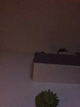 babylonia4sex online show from 31, 1, 2025