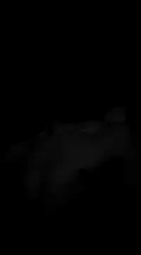 Deniell-01 online show from 19, 3, 2025