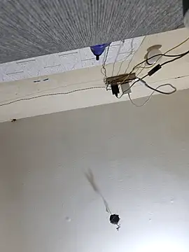 Neha8923 online show from 13, 3, 2025