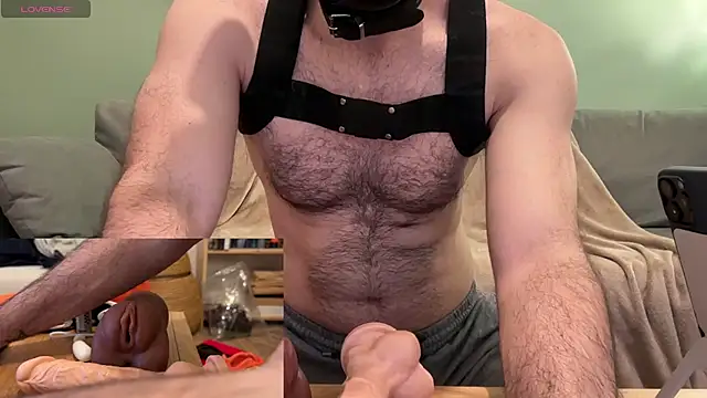 Snapshot of FrenchCamDog chatting on 14, 12, 2024 FrenchCamDog online show from 14, 12, 2024