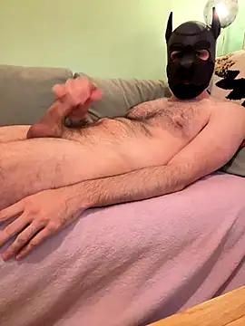 Snapshot of FrenchCamDog chatting on 11, 10, 2025 FrenchCamDog online show from 11, 10, 2025