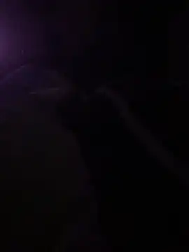 solomec online show from 6, 3, 2025