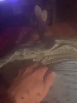 solomec online show from 13, 10, 2025