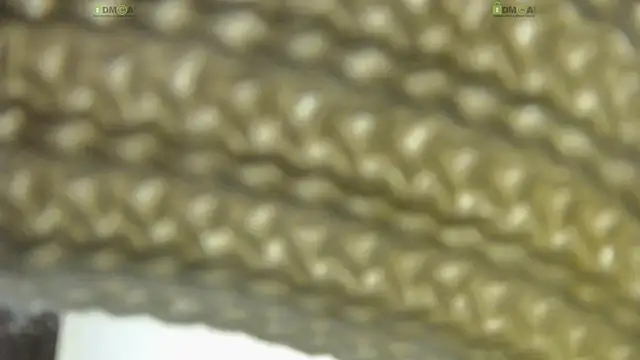 Alysta online show from 30, 10, 2025