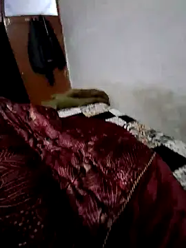 Snapshot of menakshiiikaur chatting on 13, 12, 2024 menakshiiikaur online show from 13, 12, 2024