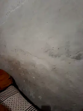 Snapshot of menakshiiikaur chatting on 19, 12, 2024 menakshiiikaur online show from 19, 12, 2024