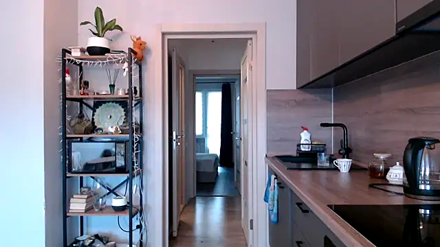 jainesummer online show from 12, 3, 2025