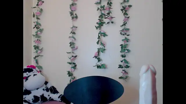 Snapshot of Saloome- chatting on 15, 6, 2026 Saloome- online show from 15, 6, 2026