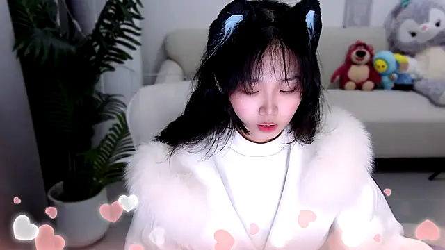 Sheep-1 online show from 10, 3, 2025