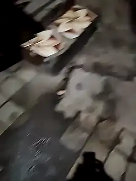 Mumbai Boy k online show from 7, 12, 2024