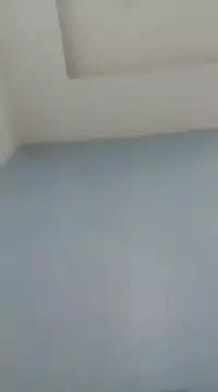 Dexiboy online show from 7, 1, 2025