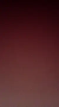 Snapshot of Sexy-Mona2 chatting on 13, 12, 2024 Sexy-Mona2 online show from 13, 12, 2024