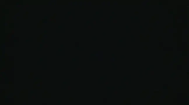 alansteer online show from 22, 12, 2024