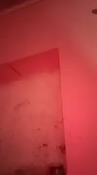 sosarax online show from 30, 1, 2025