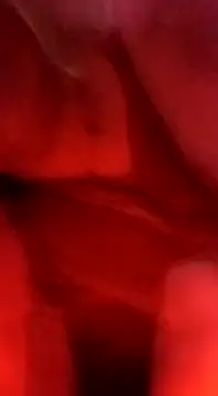 sosarax online show from 5, 2, 2025