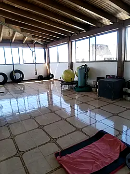 Alison fitness online show from 12, 2, 2026