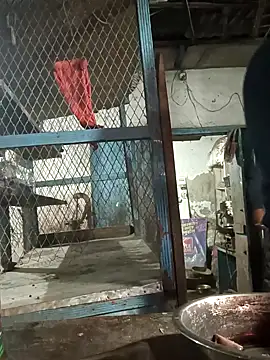 Skinny Bigass 23 online show from 10, 2, 2025