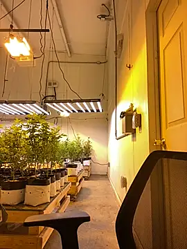 jr91esl online show from 2, 3, 2025