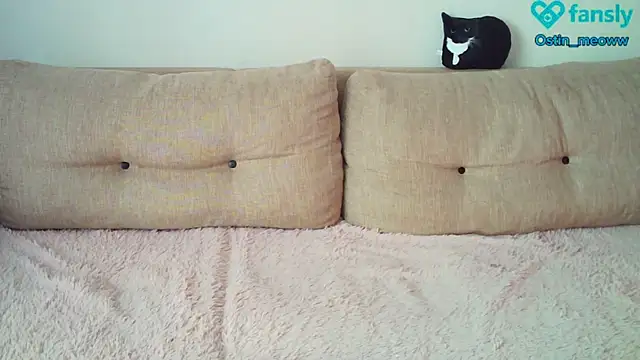 Ostin meow online show from 20, 2, 2025