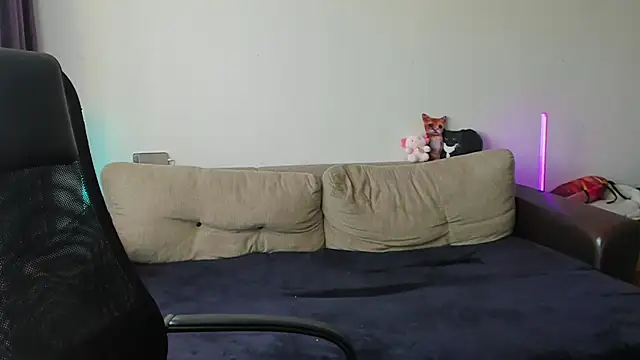 Ostin meow online show from 9, 6, 2026