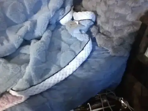 Snapshot of housewife_shantie chatting on 7, 3, 2025 housewife shantie online show from 7, 3, 2025