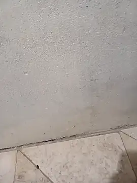 lemon69Reo online show from 8, 2, 2026