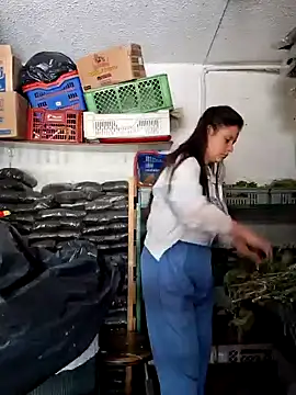 nidia2026 online show from 3, 2, 2025