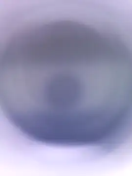 Lorrain Dorrie online show from 28, 1, 2025