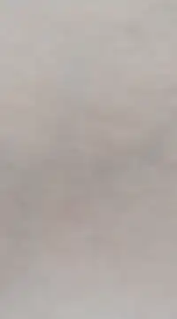 Lorrain Dorrie online show from 4, 3, 2025