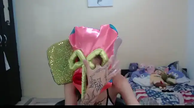 hachi kitty online show from 27, 2, 2025