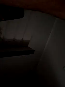 69woodinson online show from 13, 11, 2025