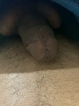 chikagokadi31 online show from 10, 4, 2026