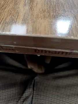 Kakabiraji online show from 17, 3, 2026