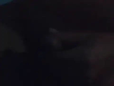 Penis58 online show from 15, 12, 2024