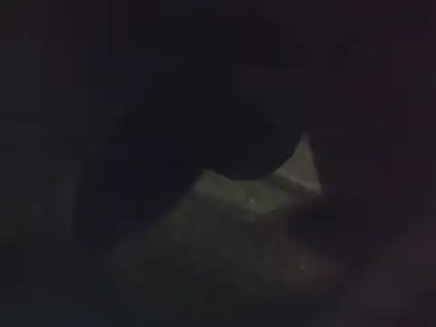 Penis58 online show from 22, 12, 2024