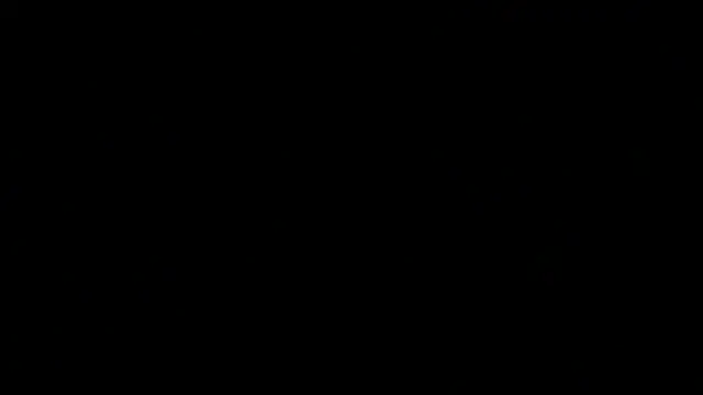 Penis58 online show from 12, 3, 2026