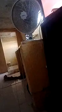 frotasso online show from 4, 3, 2025