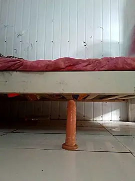 frotasso online show from 7, 1, 2026