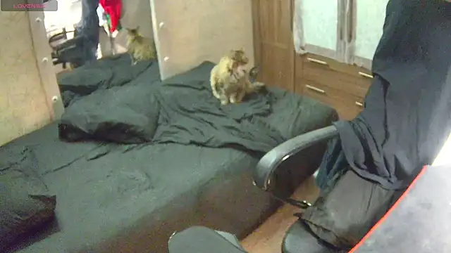 Snapshot of Julia_dolls chatting on 14, 12, 2024 Julia dolls online show from 14, 12, 2024