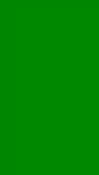 soy 5 online show from 27, 7, 2026