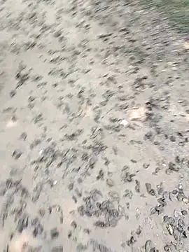 chootkapyasa007 online show from 22, 10, 2025