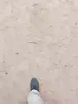 chootkapyasa007 online show from 30, 10, 2025