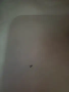 Akhi Akshaya online show from 6, 1, 2025