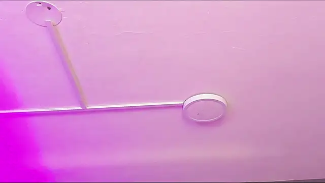 CloeeCooper online show from 16, 1, 2025