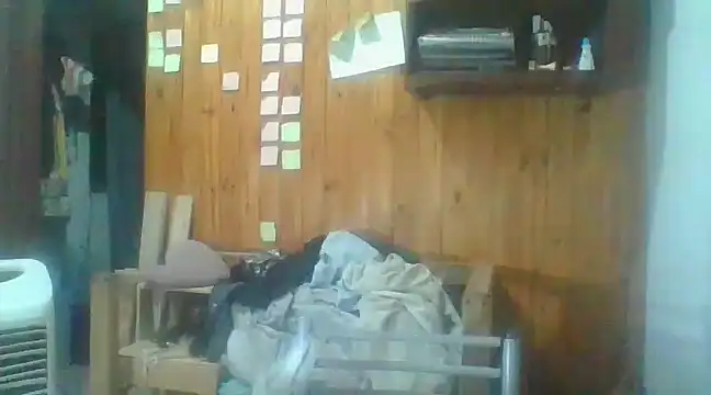 italianbighorse22 online show from 2, 1, 2025