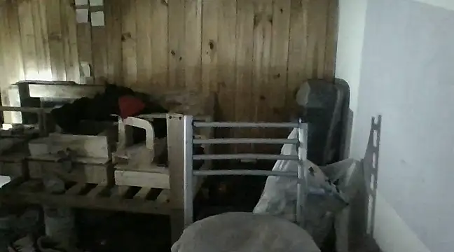 italianbighorse22 online show from 18, 1, 2025